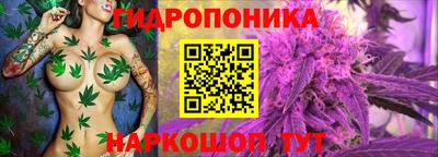 сатива Бузулук
