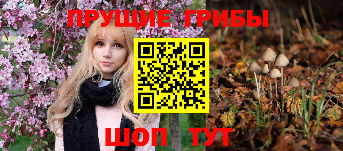 Псилоцибиновые грибы Psilocybine cubensis  Галлюциногенные грибы Cubensis  Лысьва  Вход с VPN 